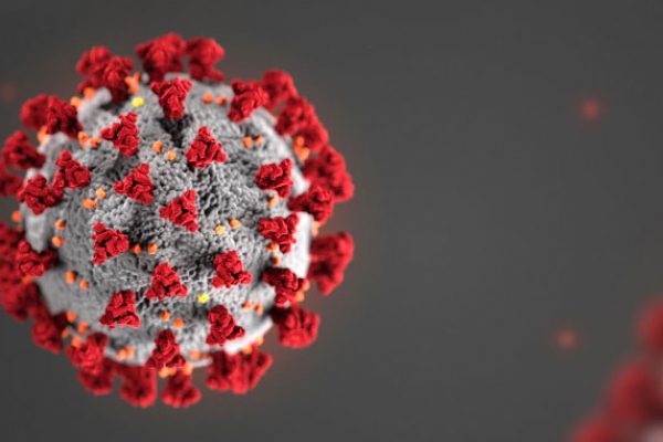 Covid-19 Virus Image