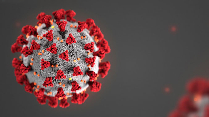 Covid-19 Virus Image